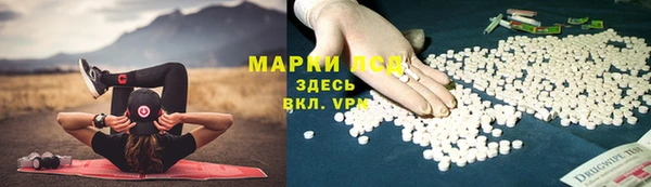 PSILOCYBIN Белоозёрский